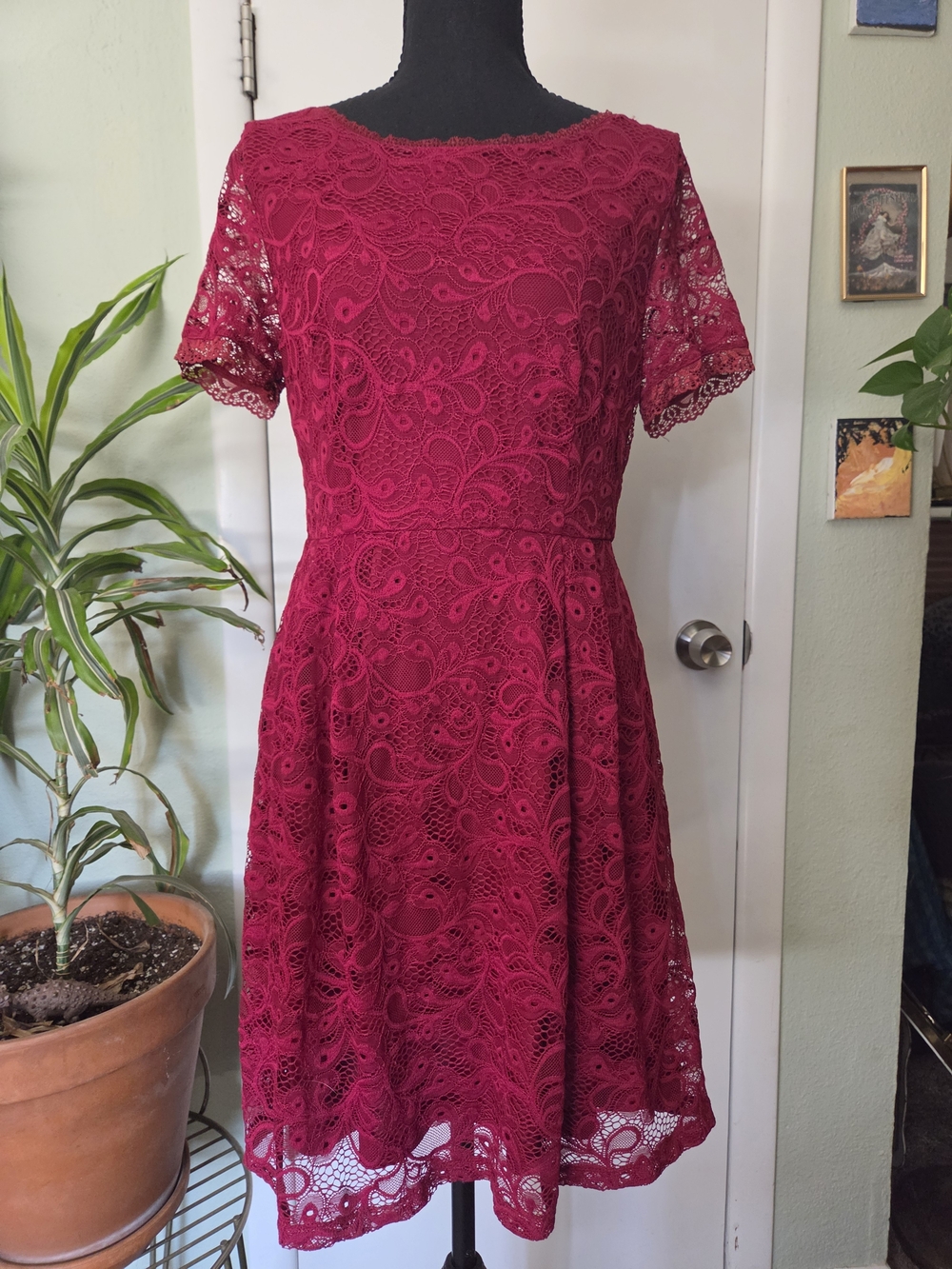 Lace Fit & Flare Dress in Burgundy